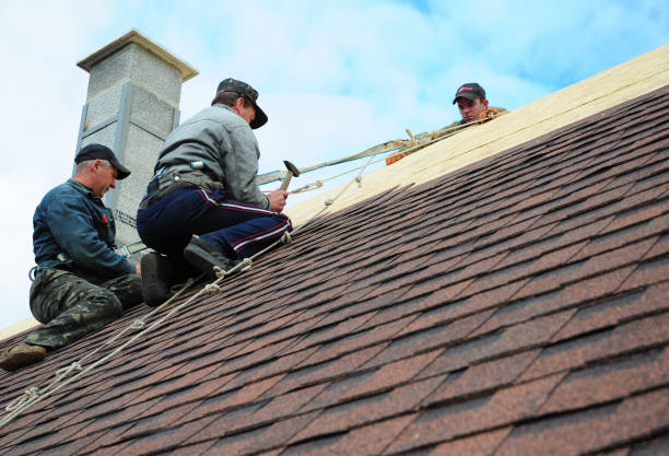 Best Gutter Installation and Roofing  in Oak Bluffs, MA
